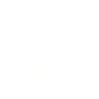 Cerveau